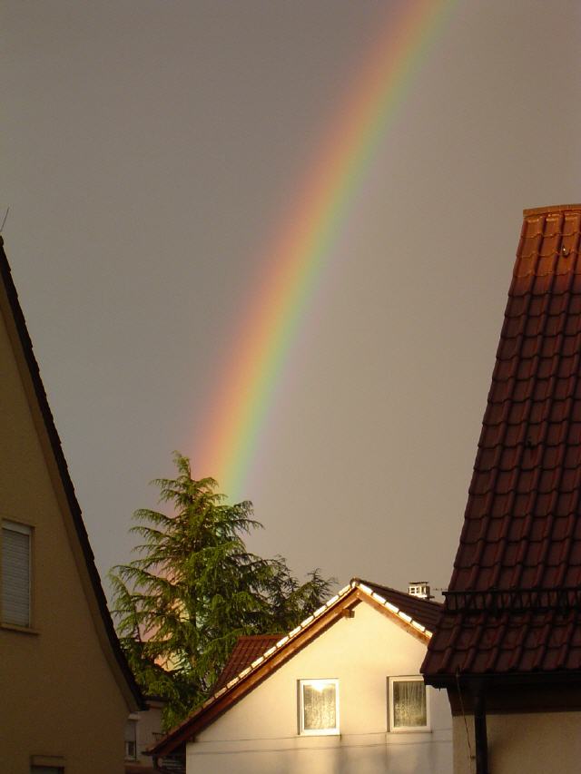 Der Regenbogen; Zeichen des Bundes